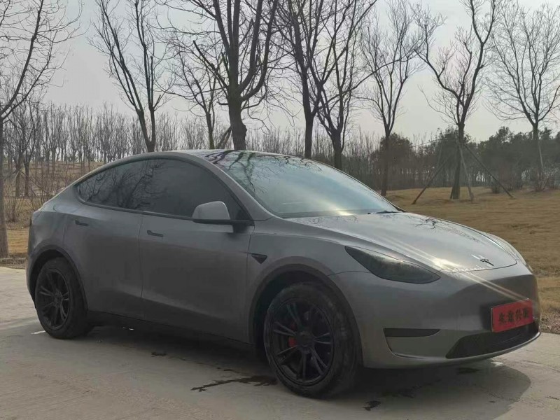 安陽23年特斯拉MODEL Y2