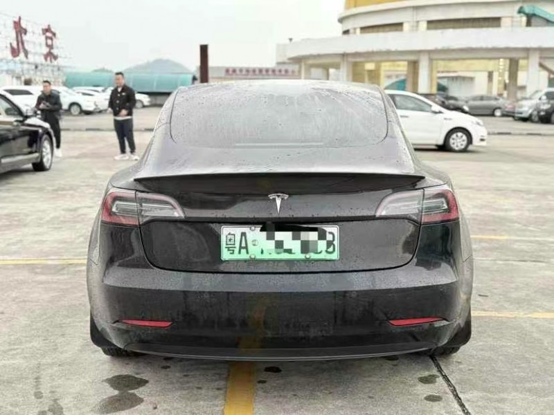 東莞20年特斯拉MODEL 35