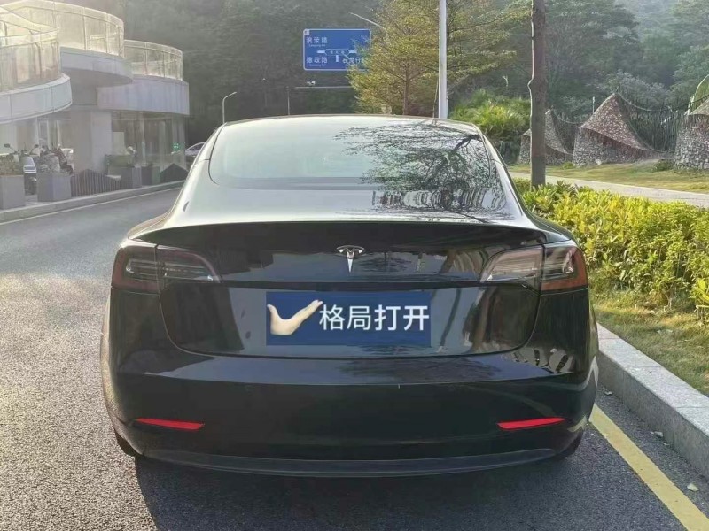 深圳20年特斯拉MODEL 39