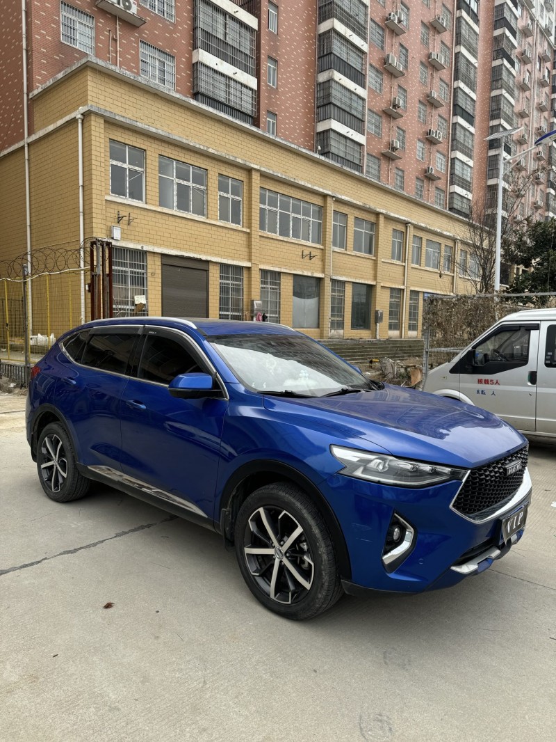 武漢19年哈弗F7x3