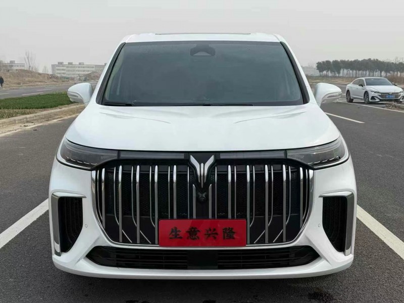 鄭州24年嵐圖汽車夢想家1