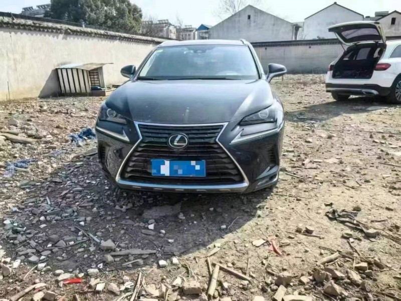 徐州21年雷克萨斯NX1