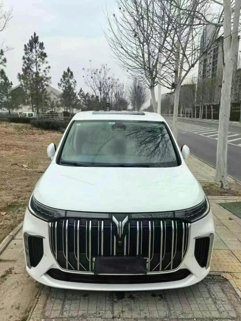 十堰24年嵐圖汽車夢想家2