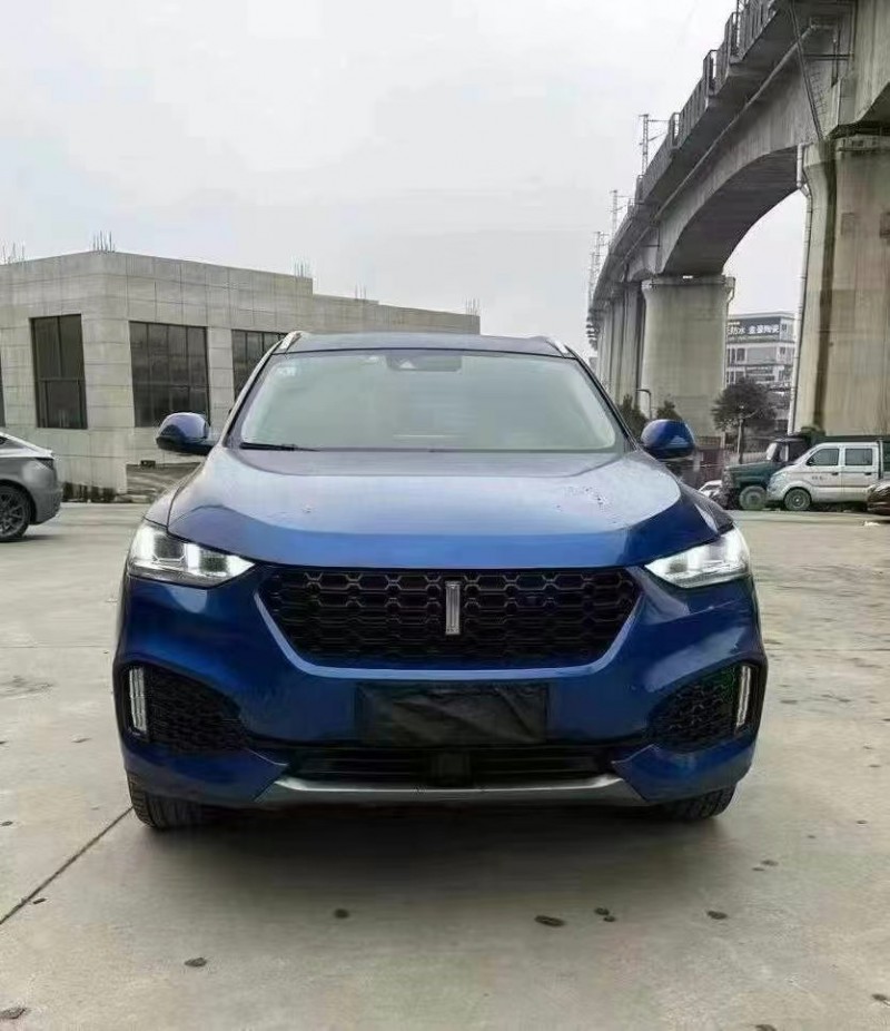 安順19年長城汽車魏牌1
