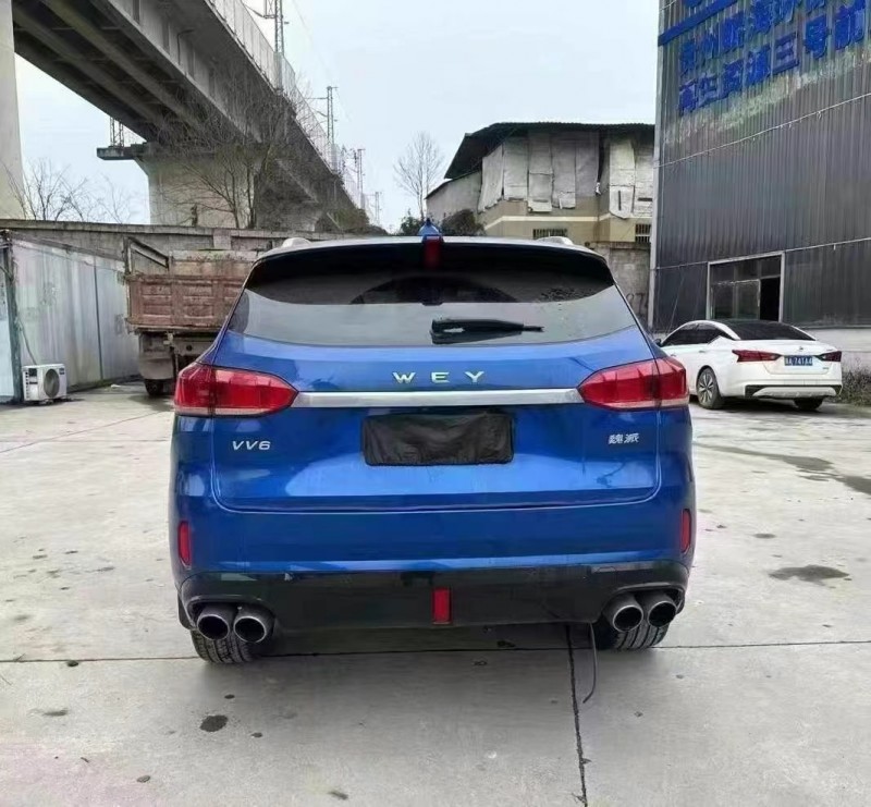 安順19年長城汽車魏牌9
