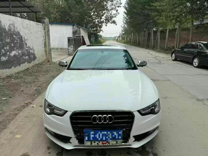 青岛14年奥迪A51