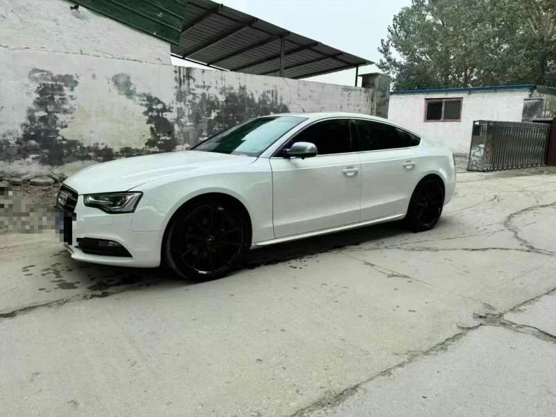 青岛14年奥迪A52