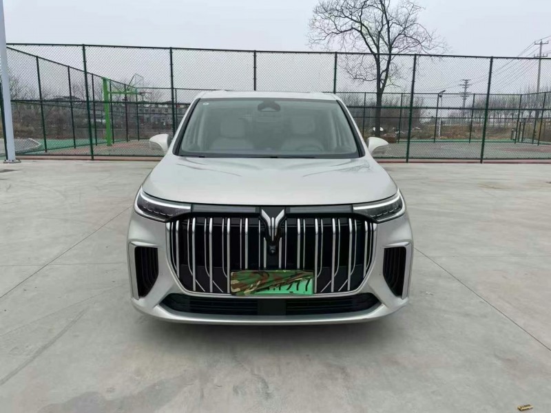 徐州24年嵐圖汽車夢想家1
