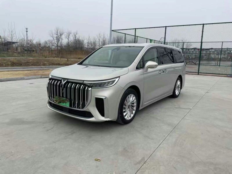徐州24年嵐圖汽車夢想家2