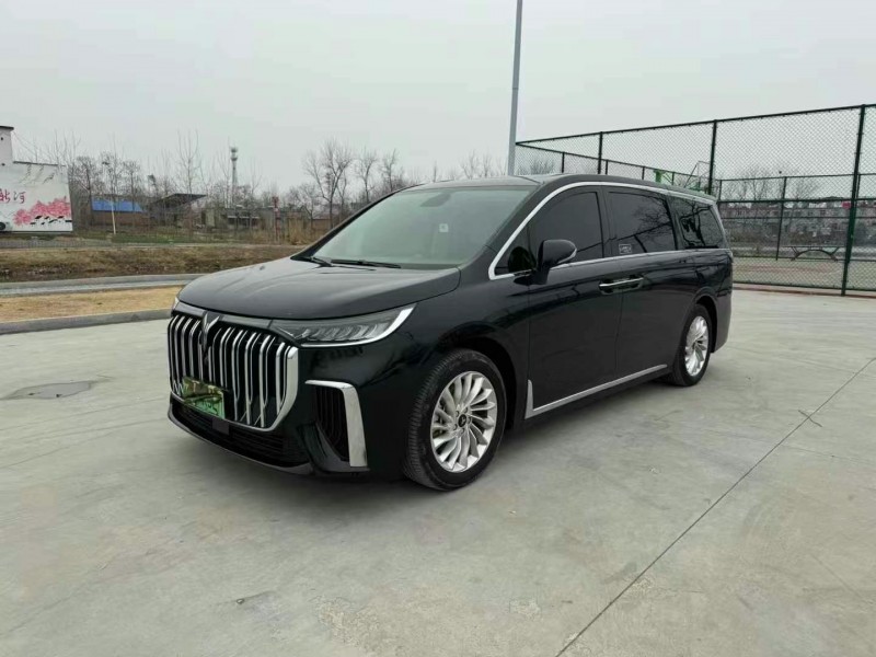 徐州23年嵐圖汽車夢想家2