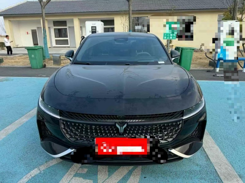 濟寧24年嵐圖汽車追光1