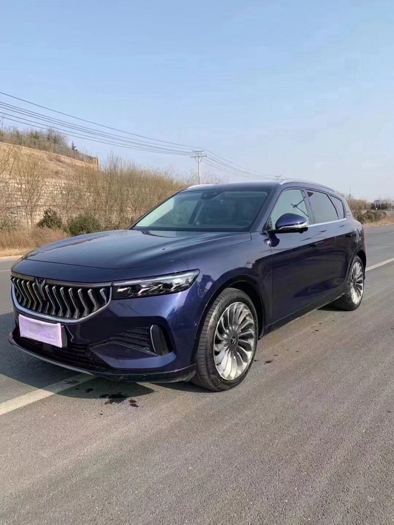 邯鄲22年嵐圖汽車FREE9