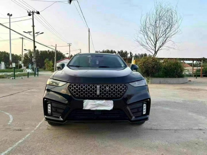 徐州20年長城汽車魏牌1