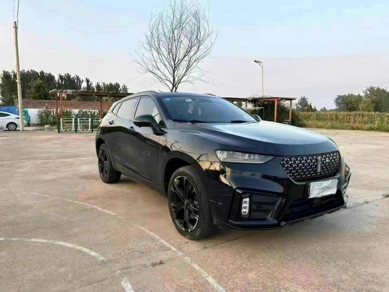 徐州20年長城汽車魏牌3