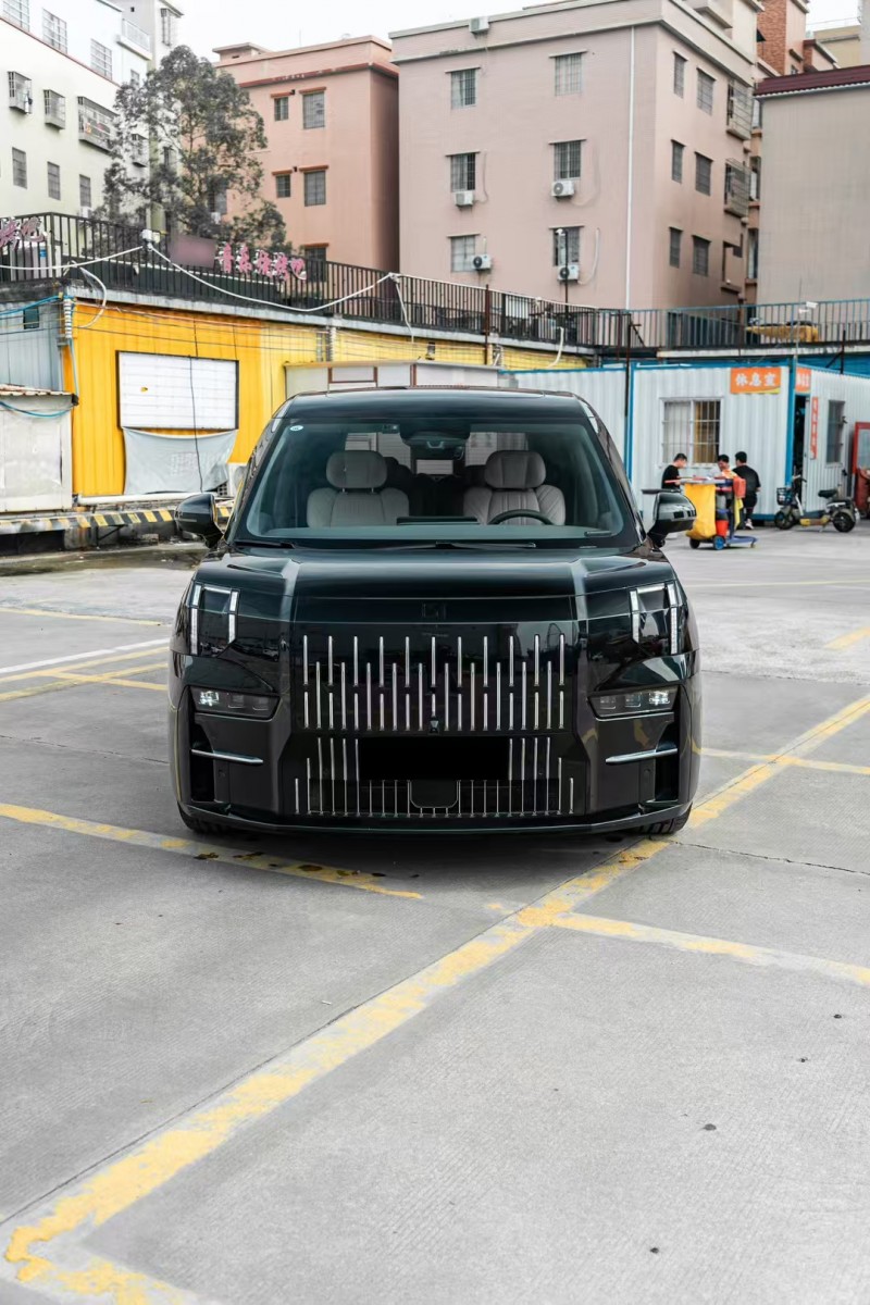 廣州24年極氪汽車0091