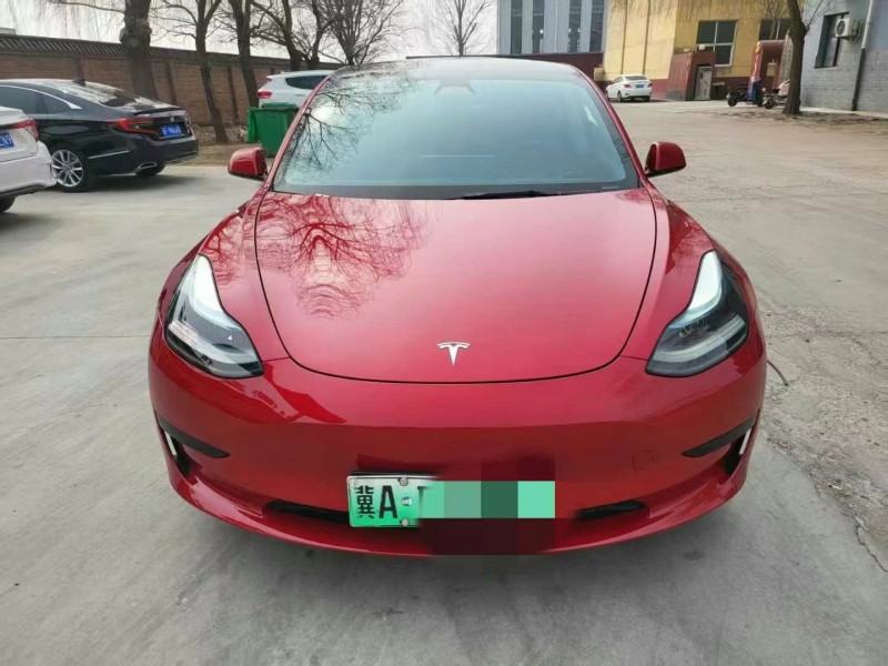 保定23年特斯拉MODEL 31