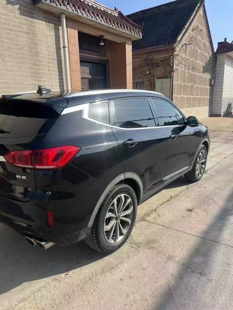 菏澤19年長城汽車魏牌9
