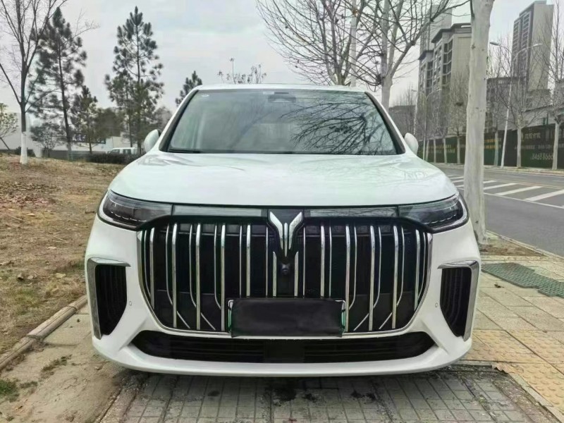 宜昌24年嵐圖汽車夢想家1