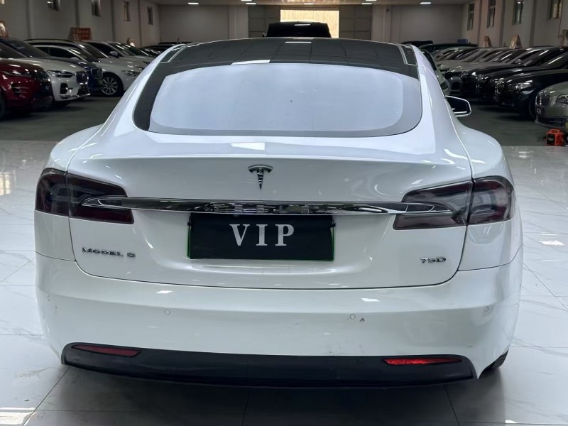 廊坊19年特斯拉MODEL S9