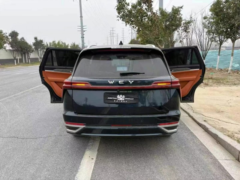 蘇州23年長城汽車魏牌9