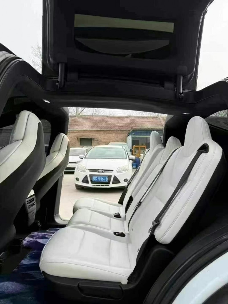 煙臺19年特斯拉MODEL X6