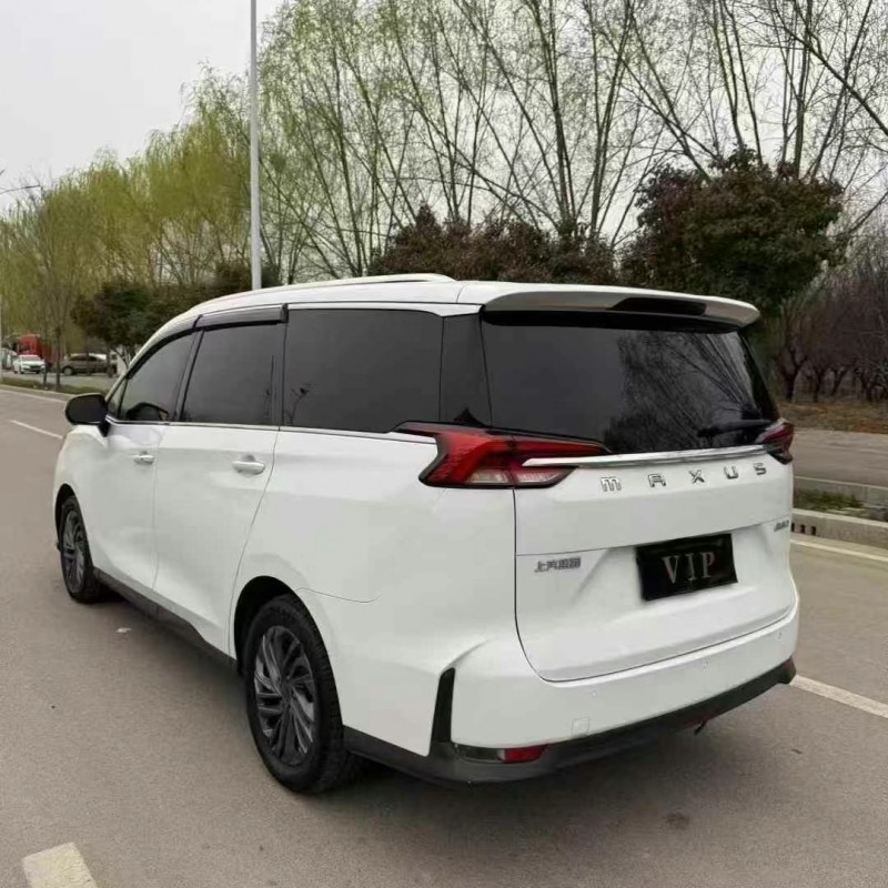 东营19年大通G509