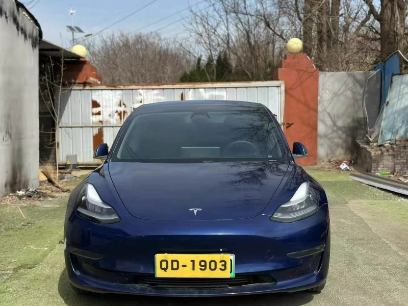 淄博20年特斯拉MODEL 31