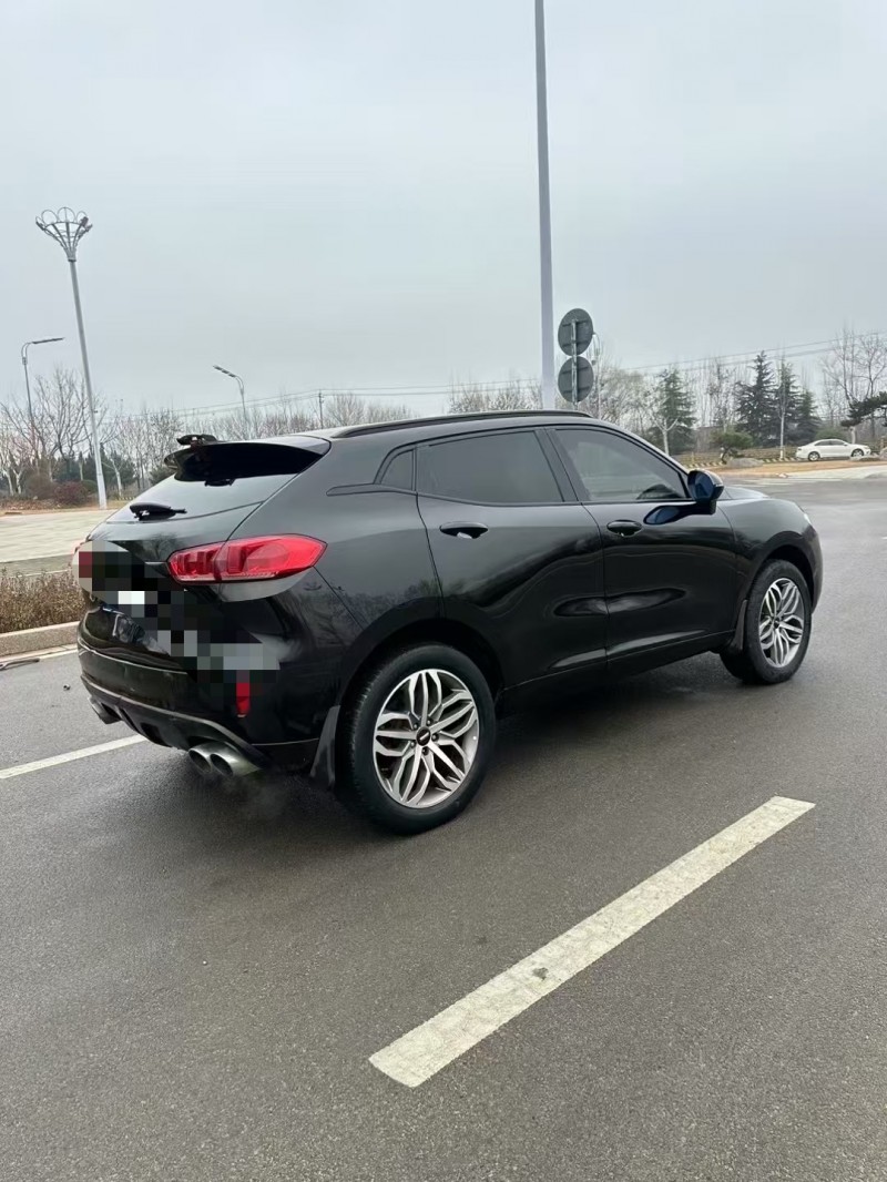 棗莊18年長城汽車WEY9