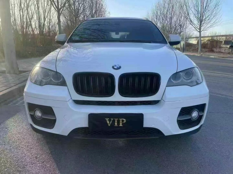 廊坊10年寶馬X61