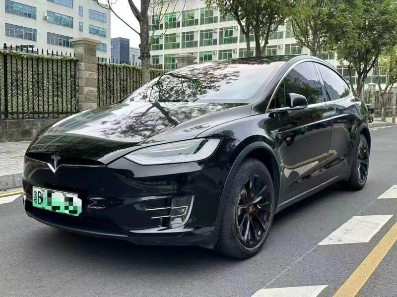 廣州20年特斯拉MODEL X2