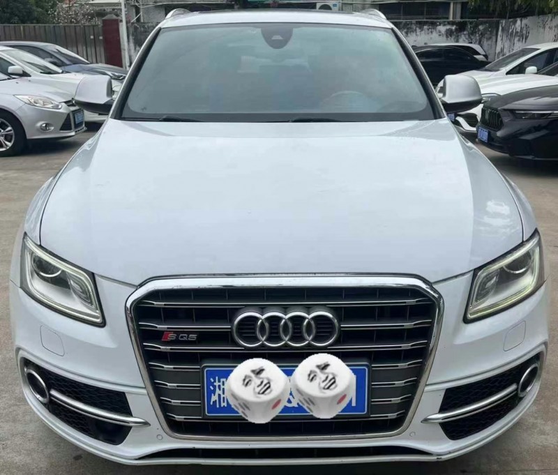 中山15年奧迪SQ51
