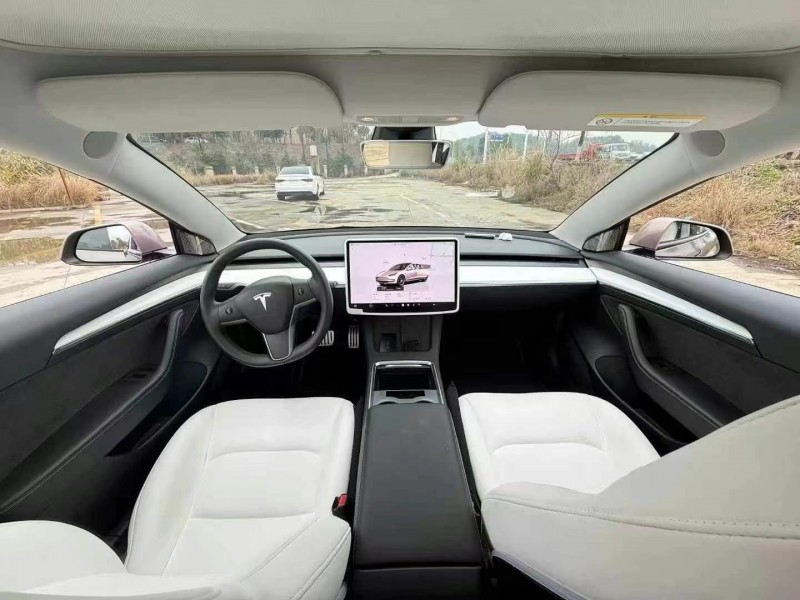 湘西22年特斯拉MODEL 35
