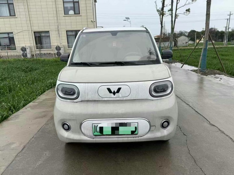 成都23年五菱汽車MINIEV馬卡龍1