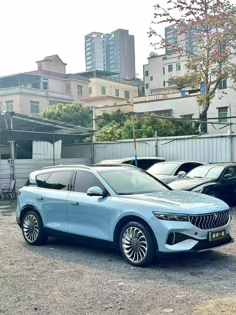 廣州22年嵐圖汽車FREE2