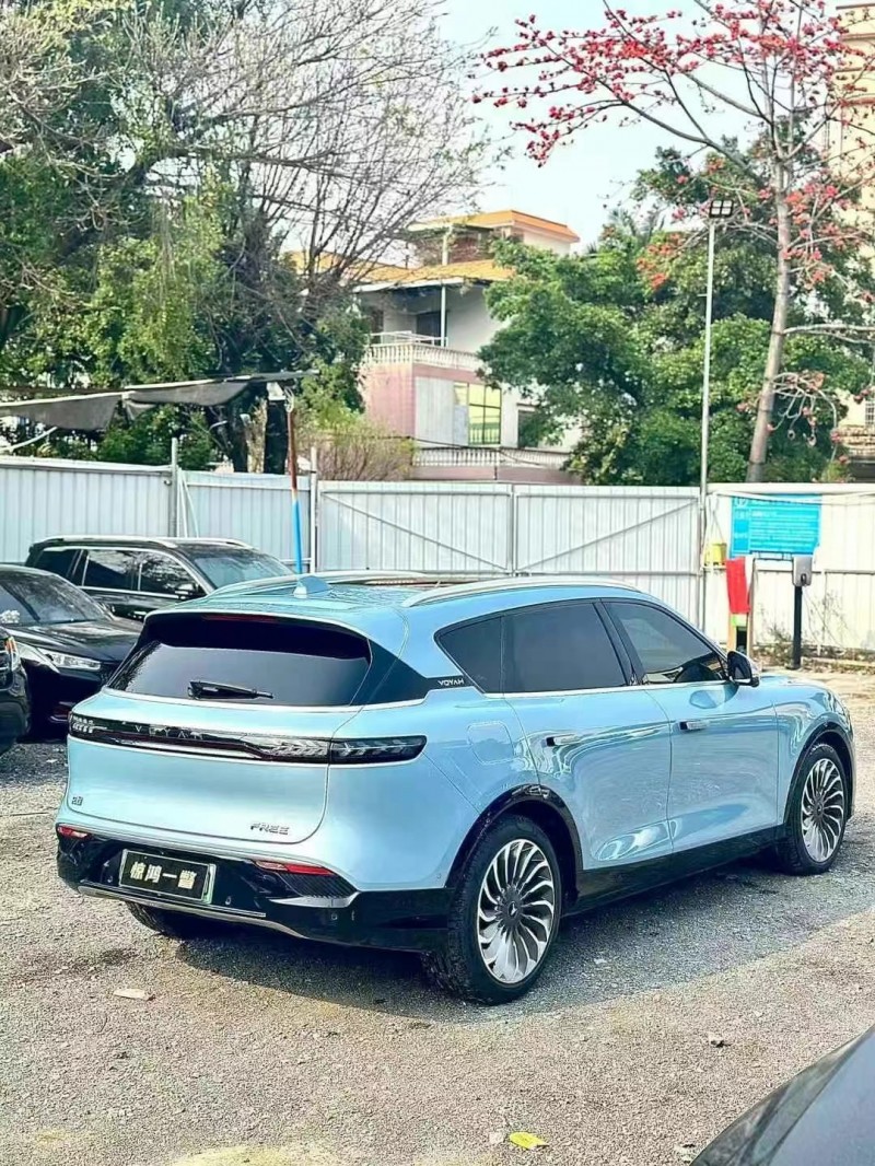 廣州22年嵐圖汽車FREE6