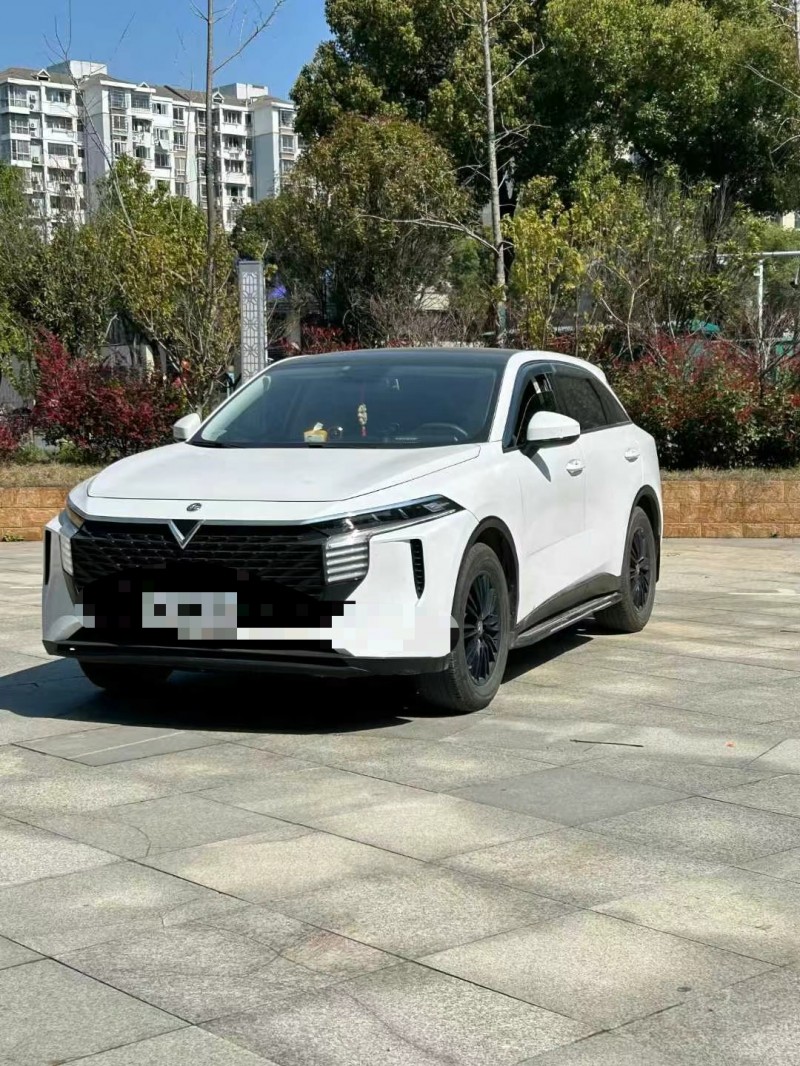 南昌23年啟辰大V3