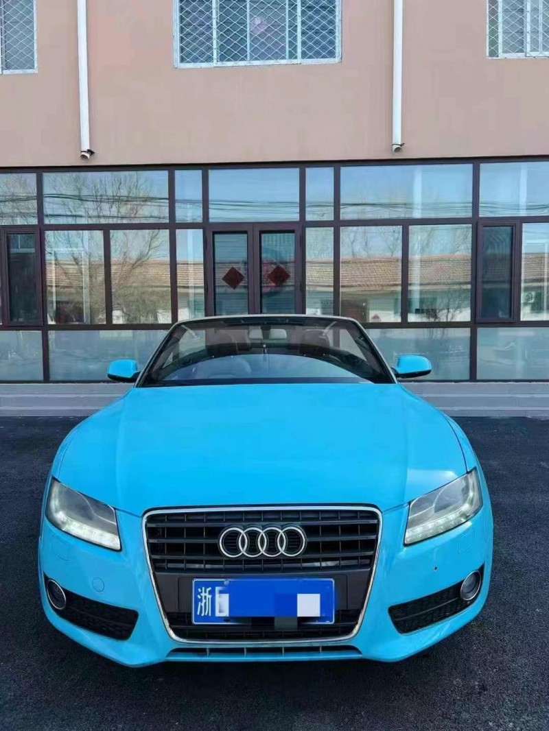 东营11年奥迪A51