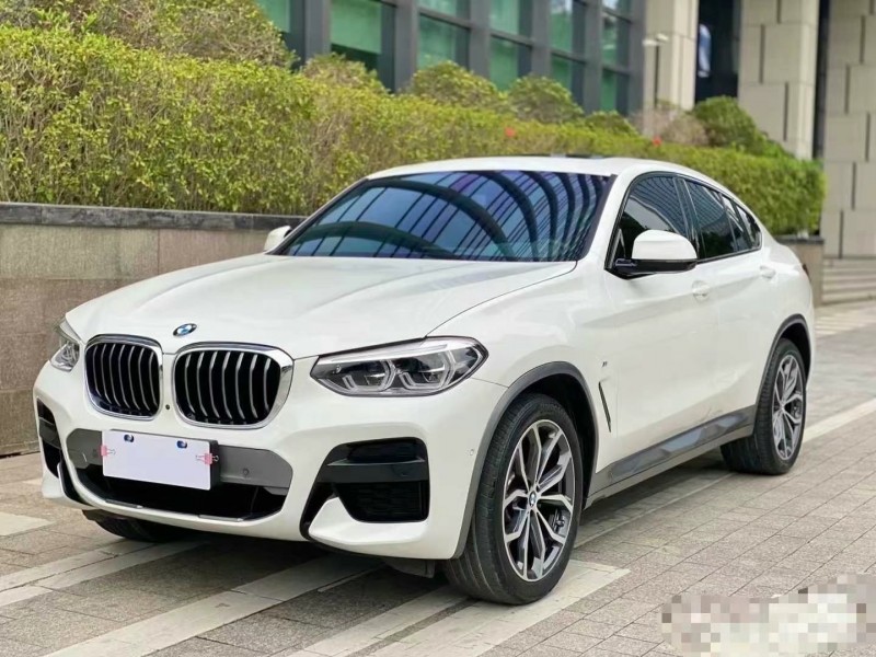 广州19年宝马X43