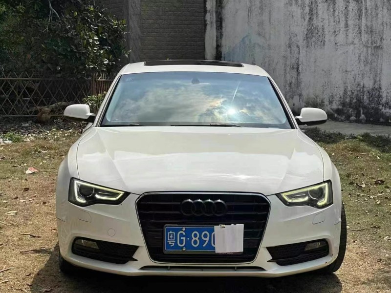 广州14年奥迪A51