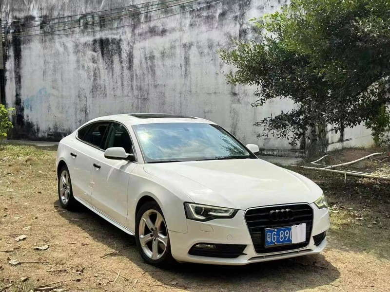 广州14年奥迪A52