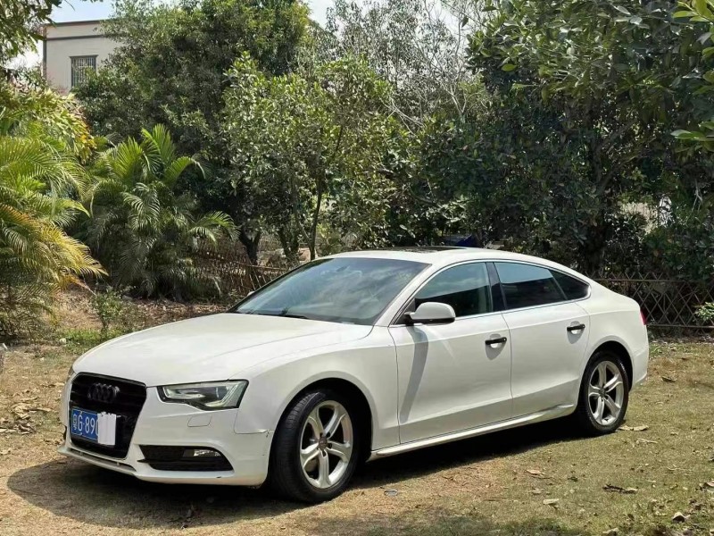 广州14年奥迪A53