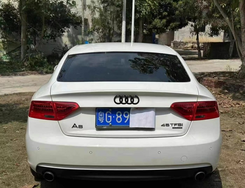 广州14年奥迪A59