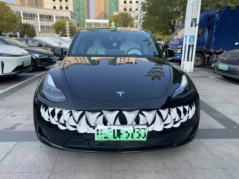 蘇州23年特斯拉MODEL Y1