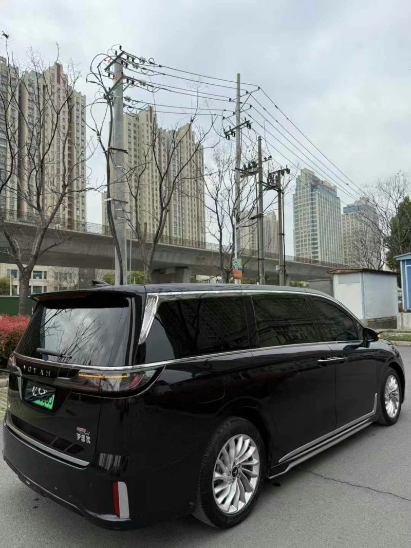 武漢24年嵐圖汽車夢想家5