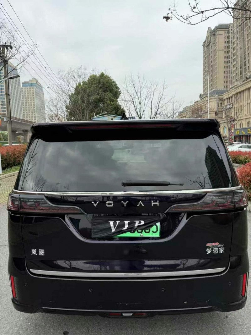 武漢24年嵐圖汽車夢想家6