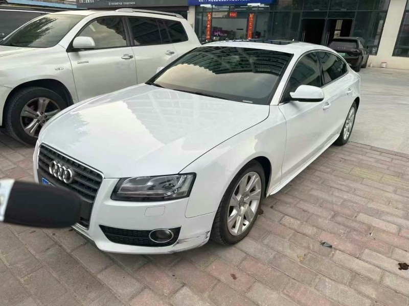 广州12年奥迪A54