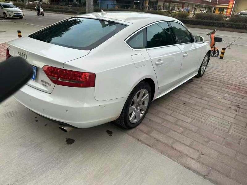 广州12年奥迪A55