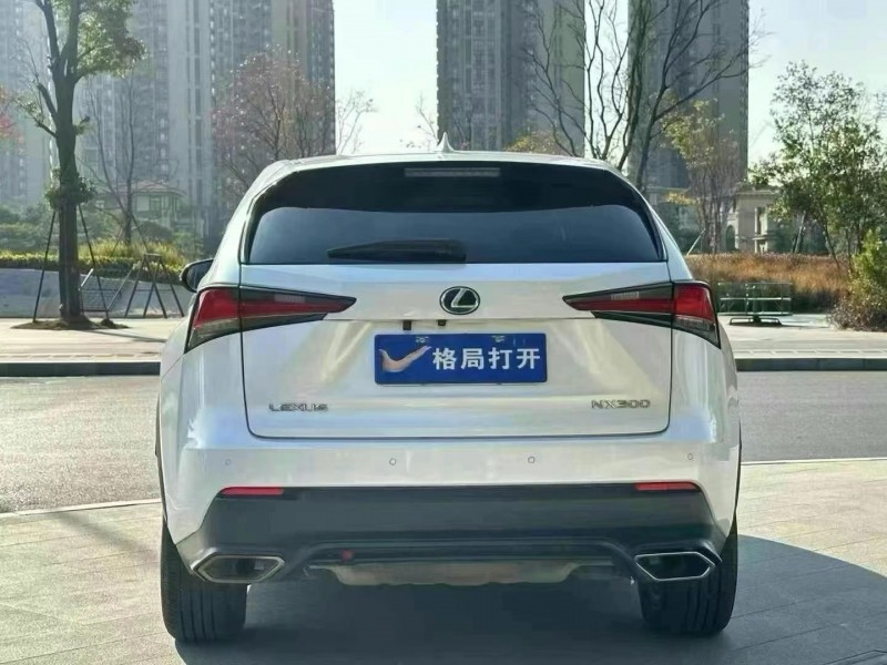 广州18年雷克萨斯NX9