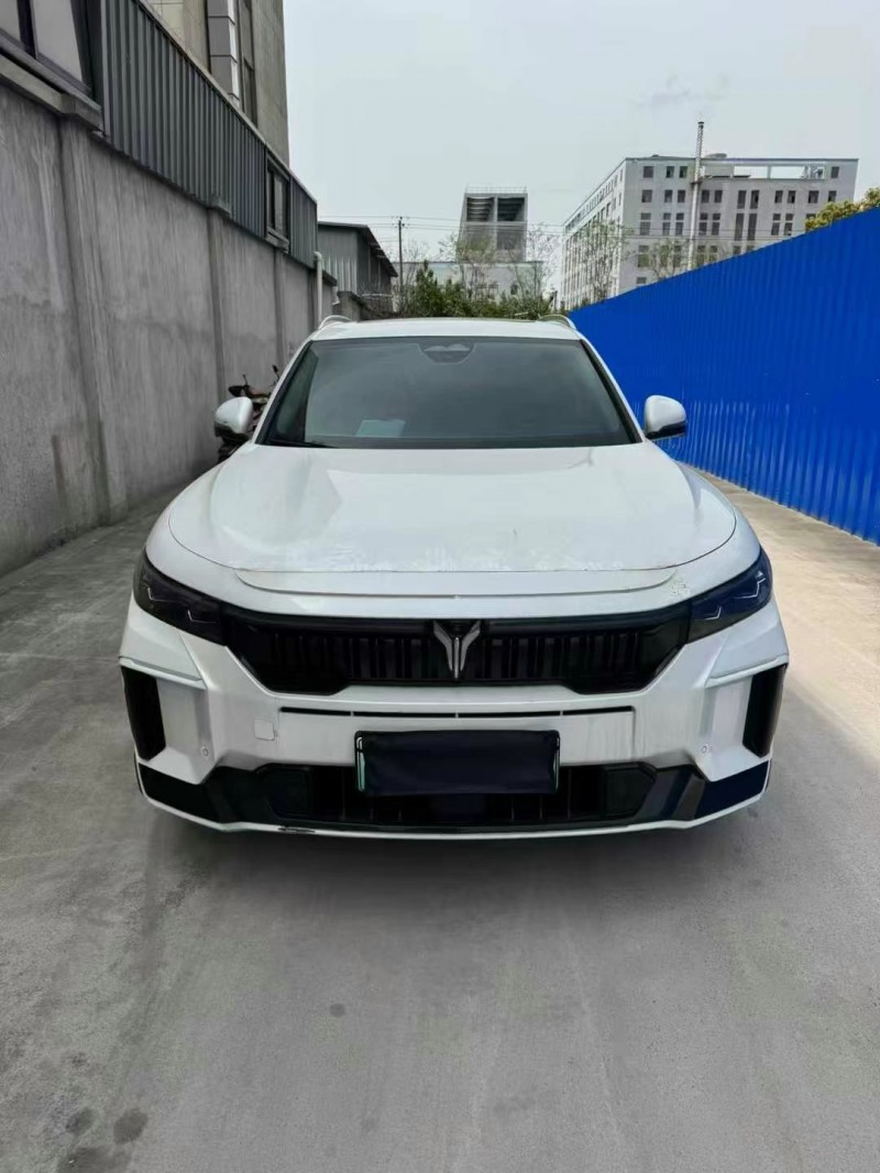 湖州23年嵐圖汽車FREE1