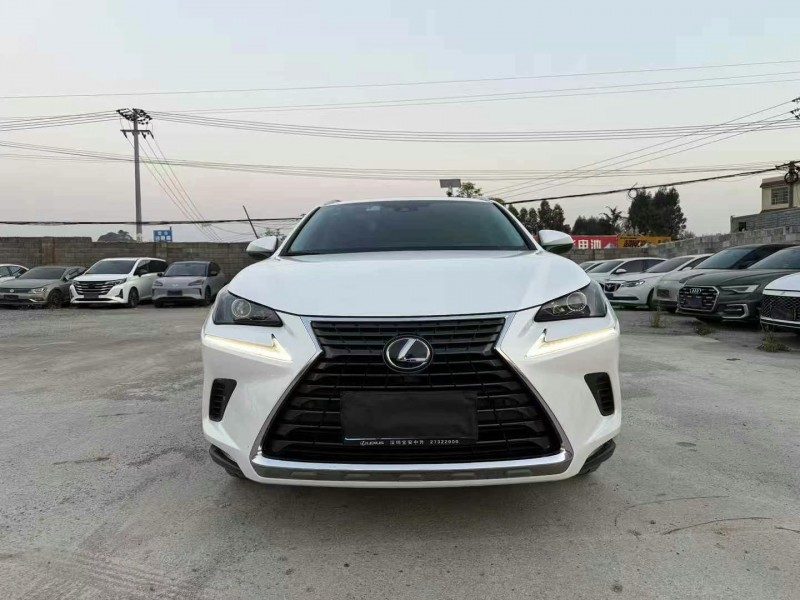 广州19年雷克萨斯NX1